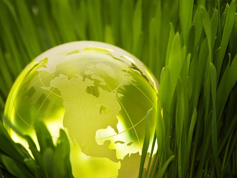 green globe in grass